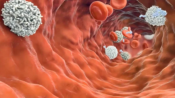 Makrofág Felfal Egy Rákos Sejtet Immunsejtek Amelyek Képesek Sérült Vagy — Stock Fotó