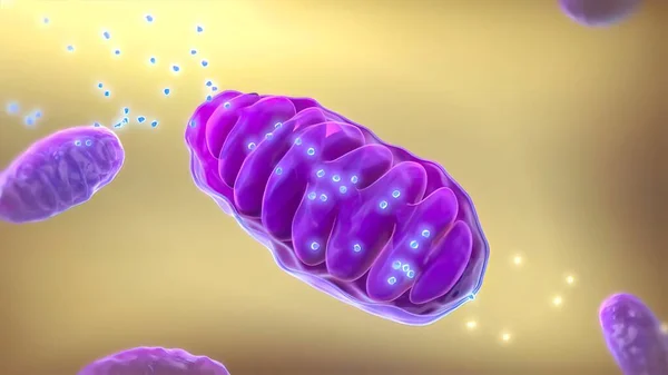 ATP synthase 3D Medikal 3D Render .