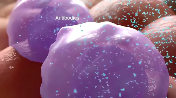 細菌性ジフテリア抗体と戦う3Dレンダリング — ストック写真