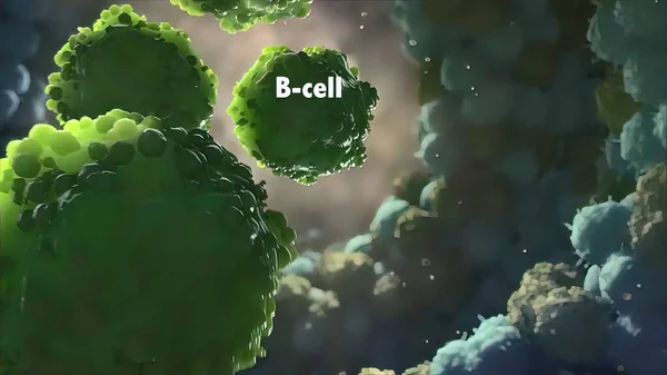 Anticorpos Fazem Parte Seu Sistema Imunitário Renderização — Fotografia de Stock
