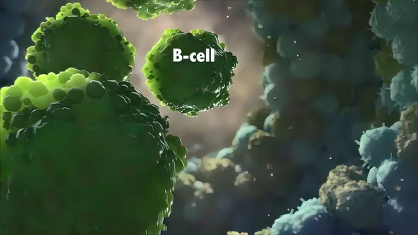 Anticorpos São Proteínas Feitas Pelo Sistema Imunológico Para Combater Infecções — Fotografia de Stock