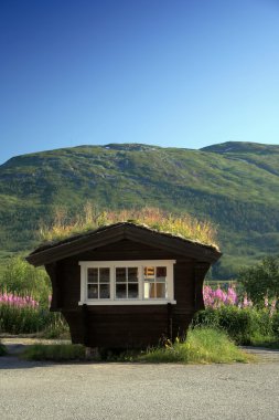 çim yeşil ile yapılan bir çatı ile küçük ev