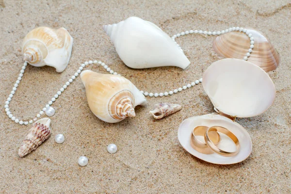 Wedding rings and cockleshells on sand — Stock Photo, Image