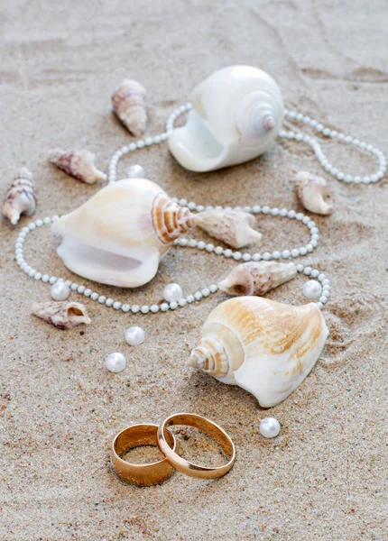 Anéis de casamento e cockleshells na areia — Fotografia de Stock