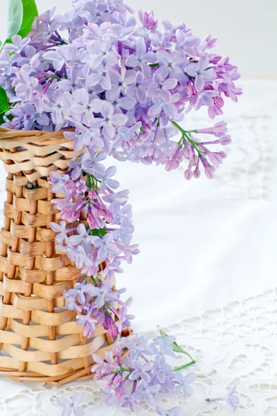 Beautiful lilac flowers — Stock Photo, Image