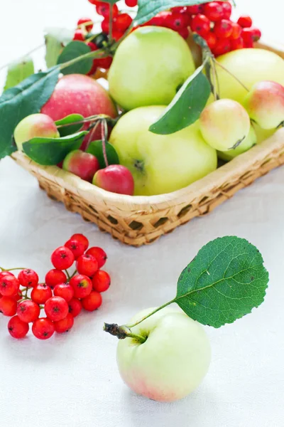 Manzanas en la cesta — Foto de Stock