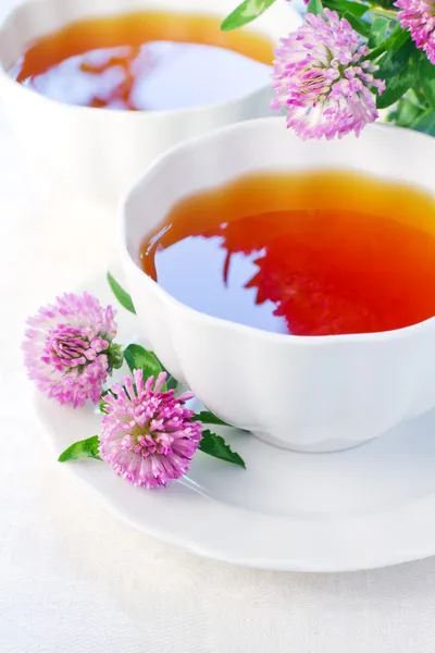 Two cups of herbal tea and clover flowers — Stock Photo, Image