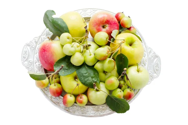 Manzanas con hojas en una bandeja — Foto de Stock