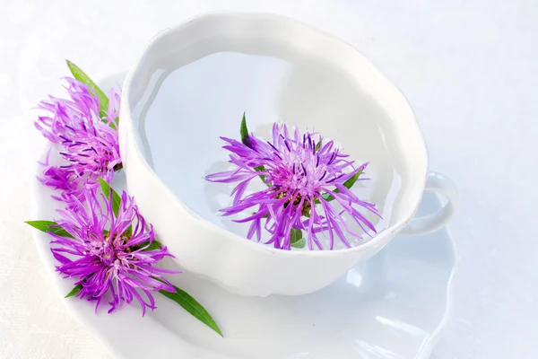 Cornflower in water in a cup — Stock Photo, Image