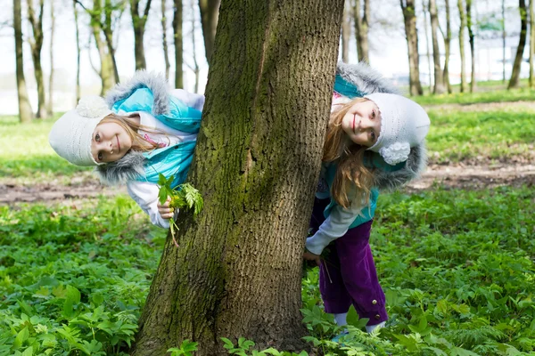 Two girls look out because of a tree — Stock Photo, Image