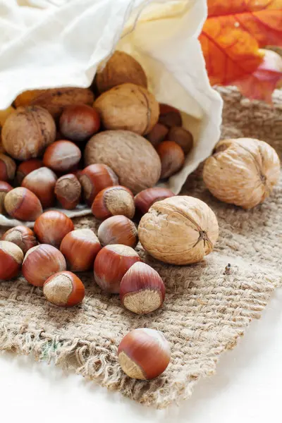 Nuts spilling out of the bag — Stock Photo, Image