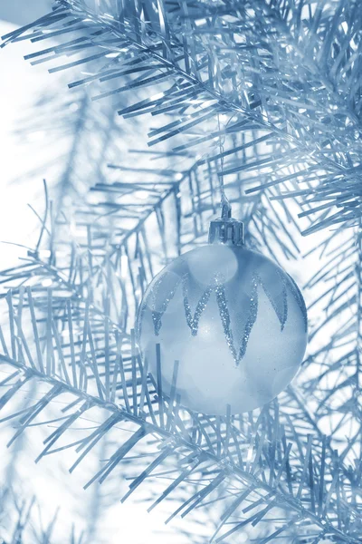 Christmas ball hangs on a branch — Stock Photo, Image