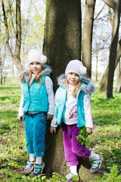 Two little girls stand at a tree — Stock Photo, Image