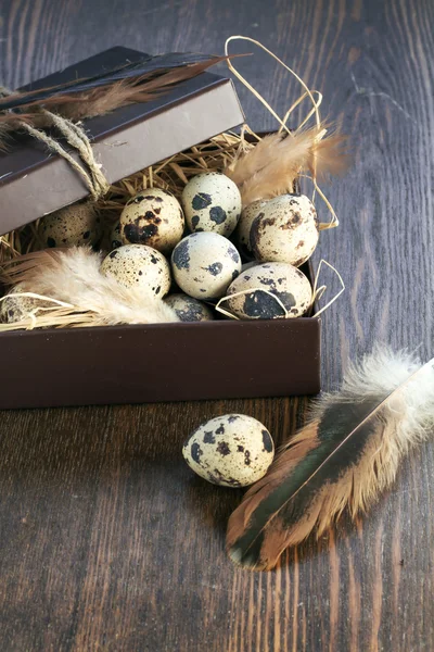 Quail eggs in a box — Stock Photo, Image