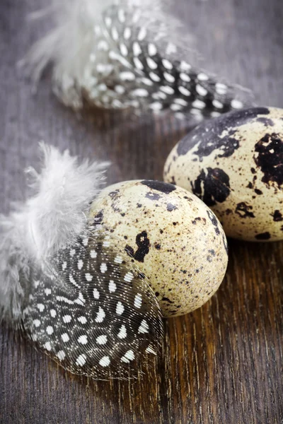 Two quail eggs and feathers — Stock Photo, Image