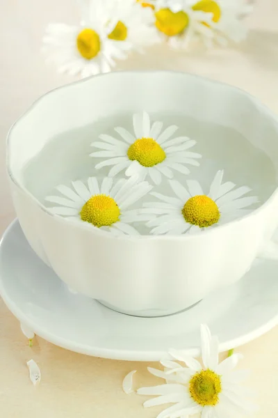 Cup of chamomile tea — Stok fotoğraf