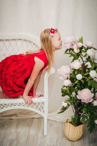 Menina sentada em uma cadeira e cheirando uma rosa — Fotografia de Stock