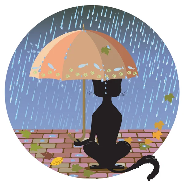 Kat in de regen — Stockvector