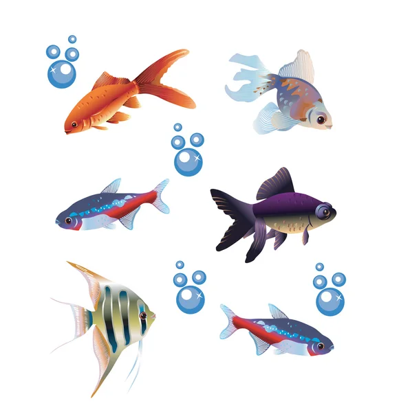 Six separate fishes — Stock Vector