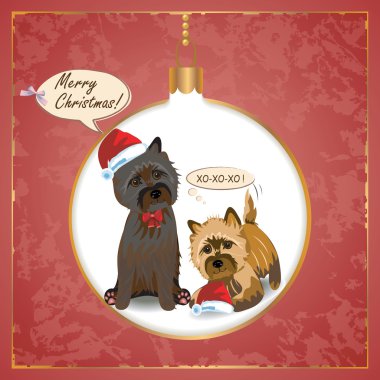 Cairn Noel kartı