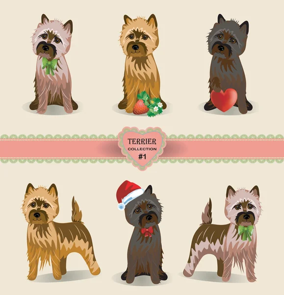 Terrier Collection — Stock Vector