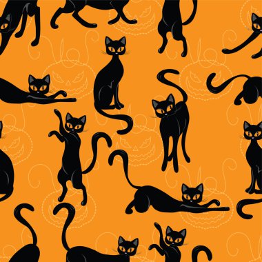 Cadılar Bayramı kedi