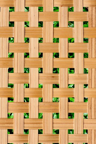 Bamboe achtergrond — Stockfoto