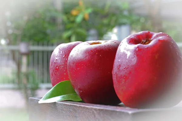 Three apples on wood — Stock Photo, Image