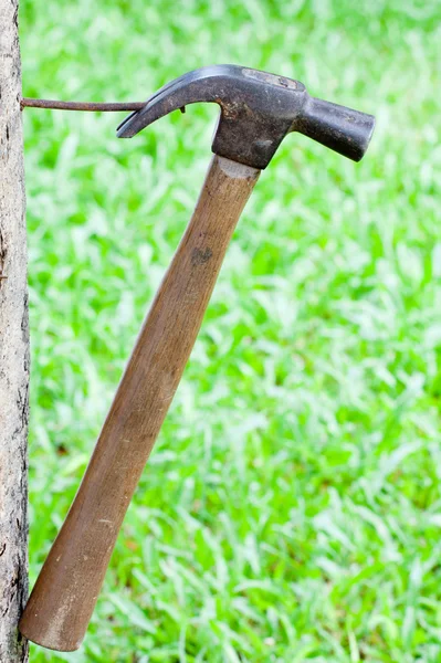 Wooden hammer — Stock Photo, Image