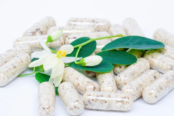 Bloemen, bladeren en capsule moringa op wit — Stockfoto