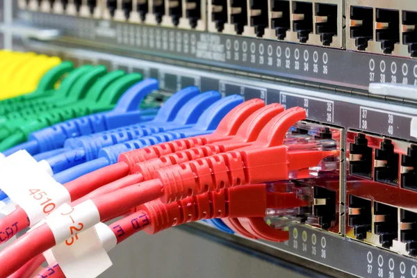 Ağ anahtarı ve utp ethernet kabloları