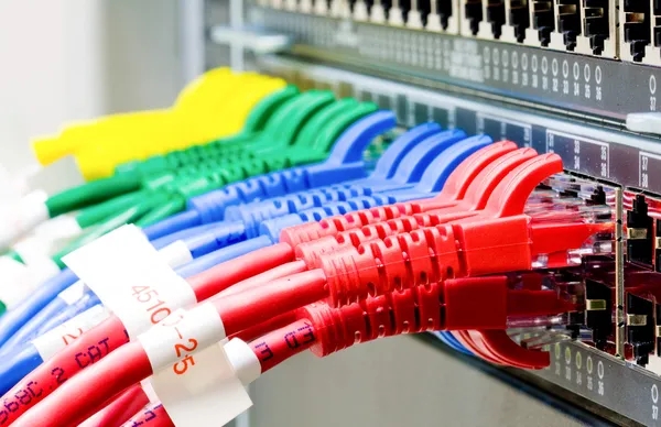 Сетевой коммутатор и Ethernet кабели UTP Стоковая Картинка