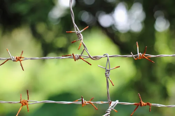 Rusty barbed wire — Stock Photo, Image