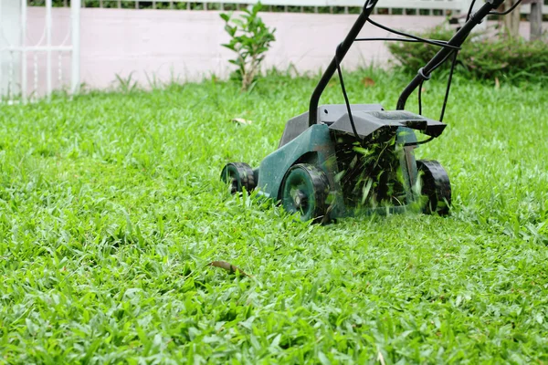 Tondeuse Courir dans l'herbe — Photo