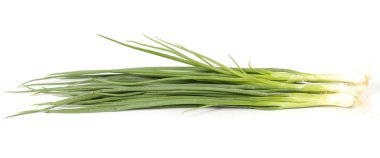 Beyaz arkaplanda soğan izole edildi