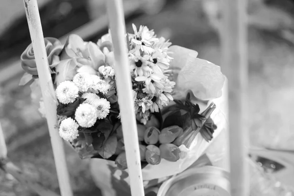Rosas en el suelo de estilo blanco y negro —  Fotos de Stock