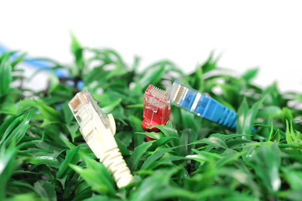 UTP nätverkskabel på grönt gräs — Stockfoto