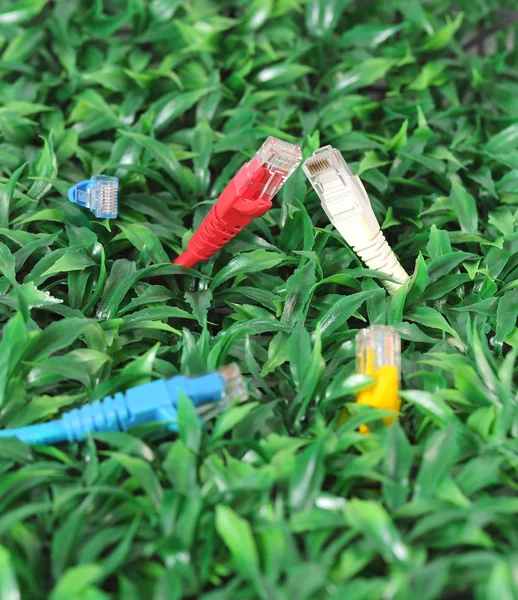 UTP lan cable on green grass — Stock Photo, Image