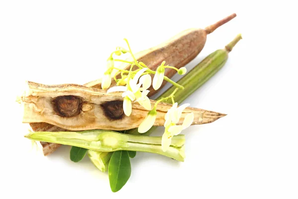 Pepino amargo-chinês (Moringa oleifera Lam .) — Fotografia de Stock