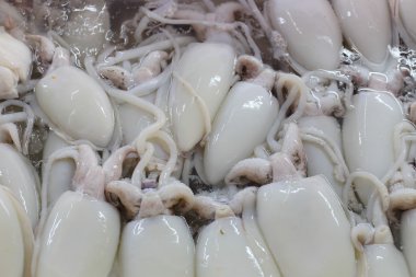 kalamar gibi taze deniz ürünleri