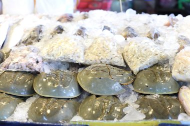 at nalı satılık buzun içinde donmuş Yengeç