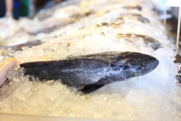Zeevruchten vis, bevroren in het ijs — Stockfoto