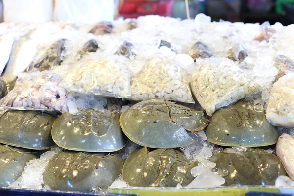 at nalı satılık buzun içinde donmuş Yengeç