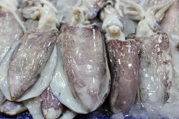 Свежие морепродукты, такие как кальмары — стоковое фото