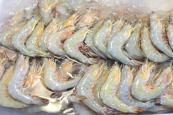 Camarones congelados en hielo para la venta — Foto de Stock