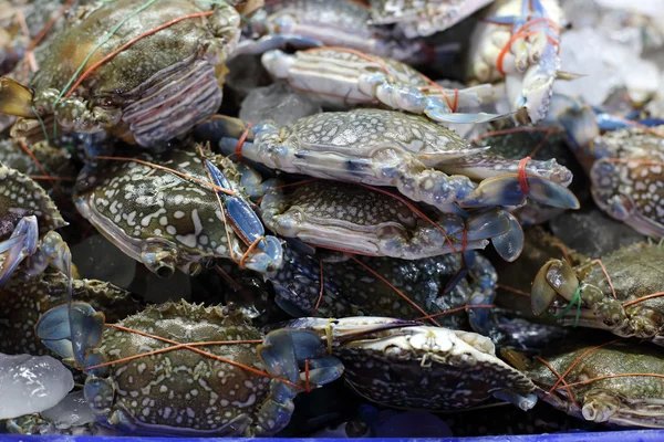 Fresh crab for sale — Stock Photo, Image