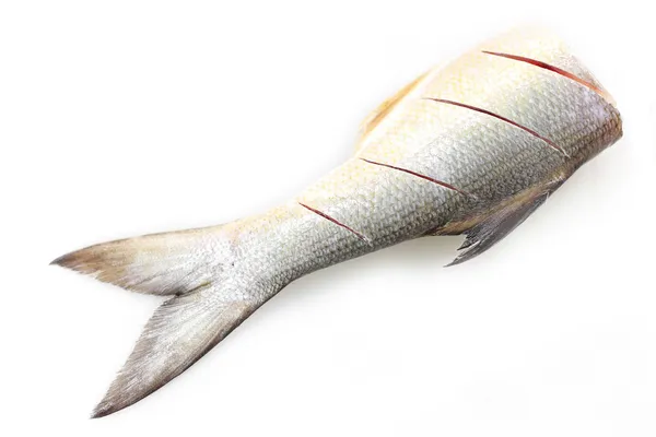 Demi poisson isolé sur fond blanc — Photo