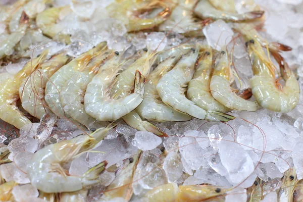 Crevettes congelées dans la glace à vendre — Photo