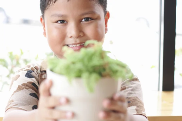 El chico es feliz. Con árboles pequeños . —  Fotos de Stock