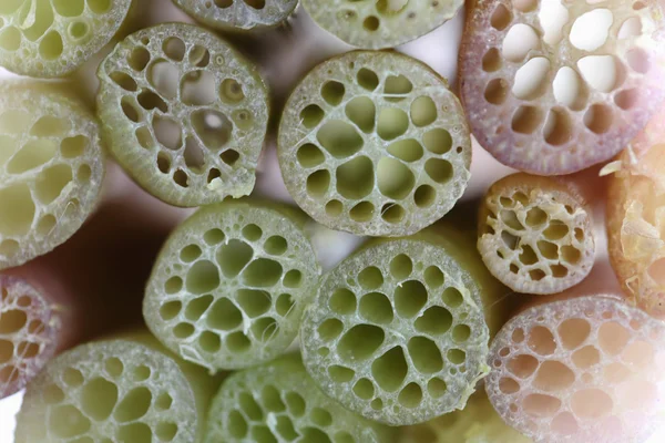 Verduras de tallo de loto — Foto de Stock
